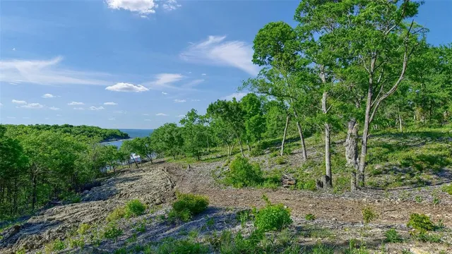 a view of a large yard with lots of green space