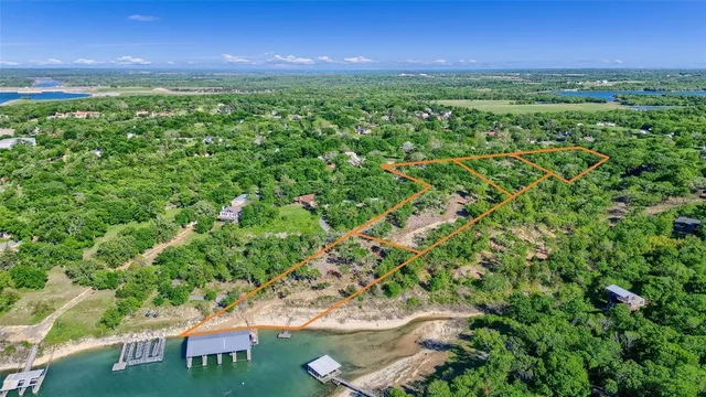 a view of a yard with plants and a bench