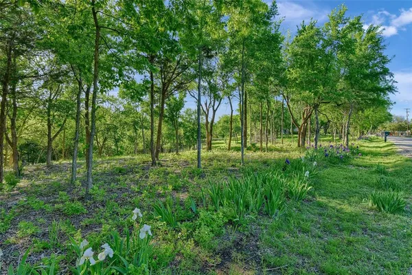 a view of park with trees