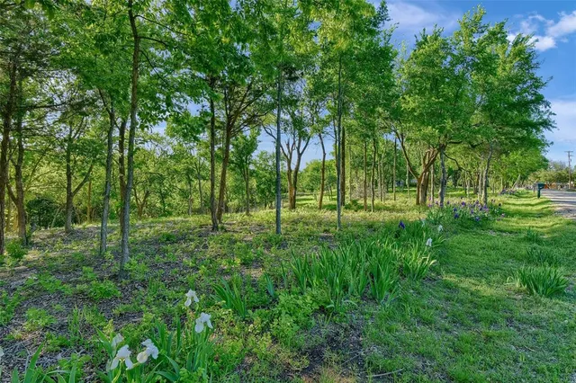 a view of park with trees