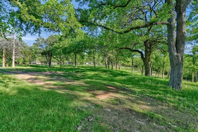 a view of a grassy field with trees