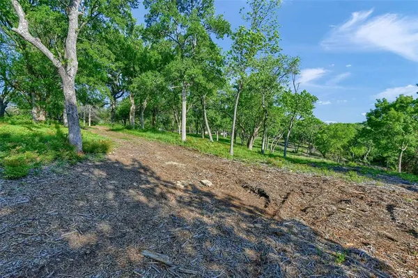a view of a yard with tree s