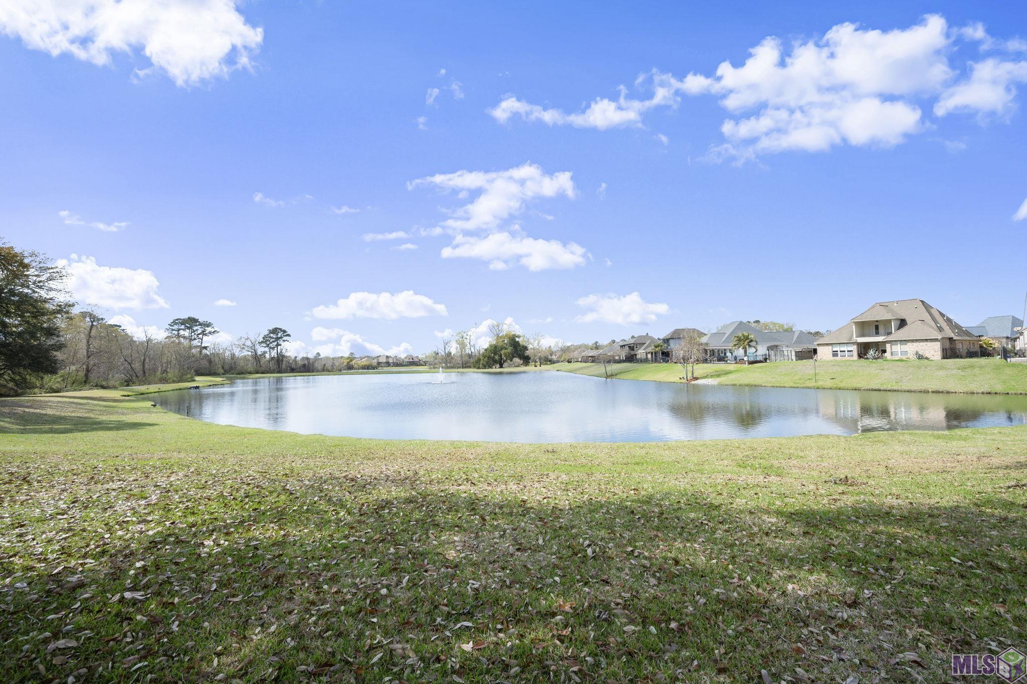 17702 Shady Path Court Baton Rouge, LA 70816 - Photo 28 of 28