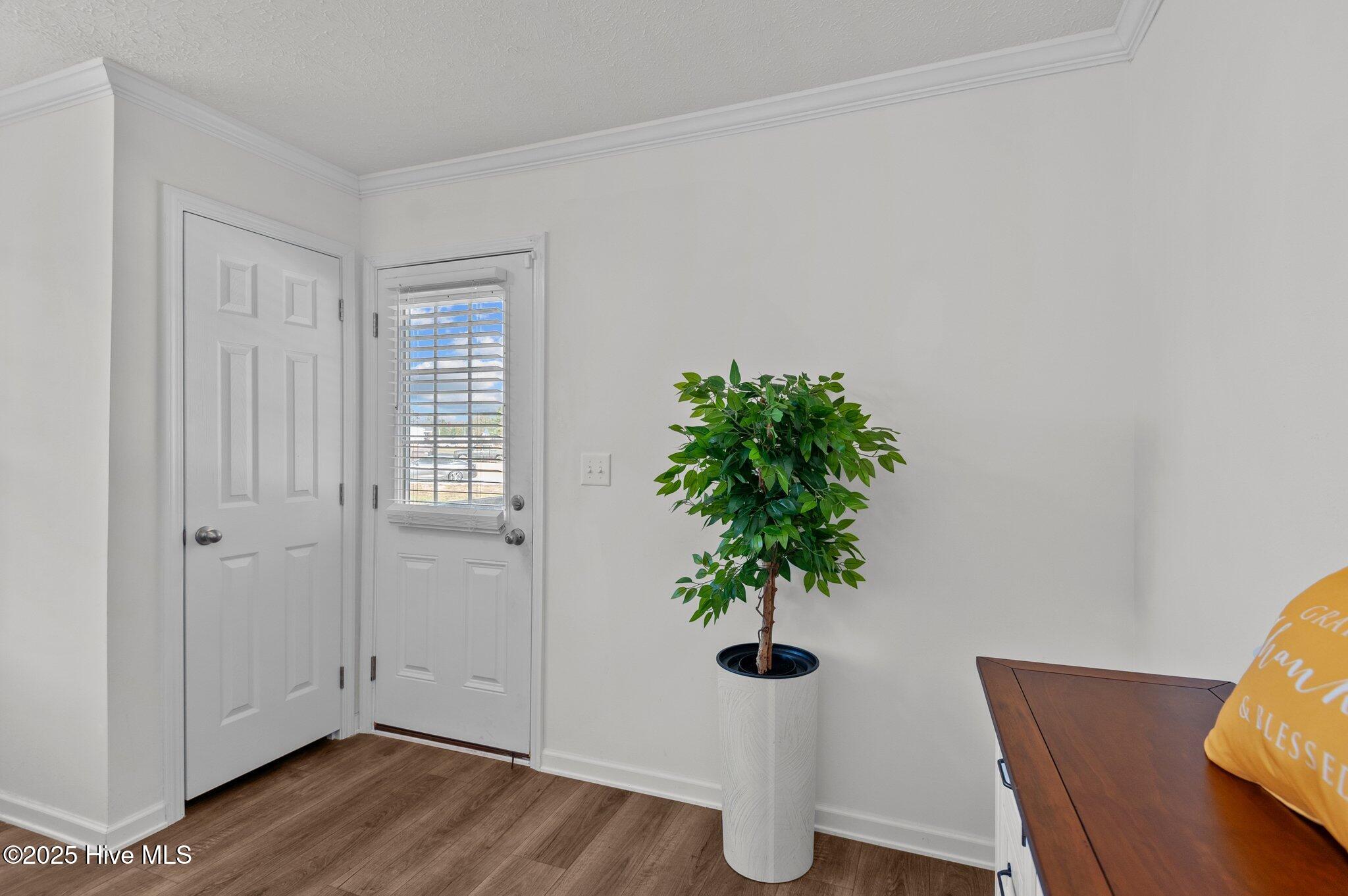 415 Pineridge Road Roanoke Rapids, NC 27870 - Photo 11 of 58 10-web-or-mls-_DSC8280