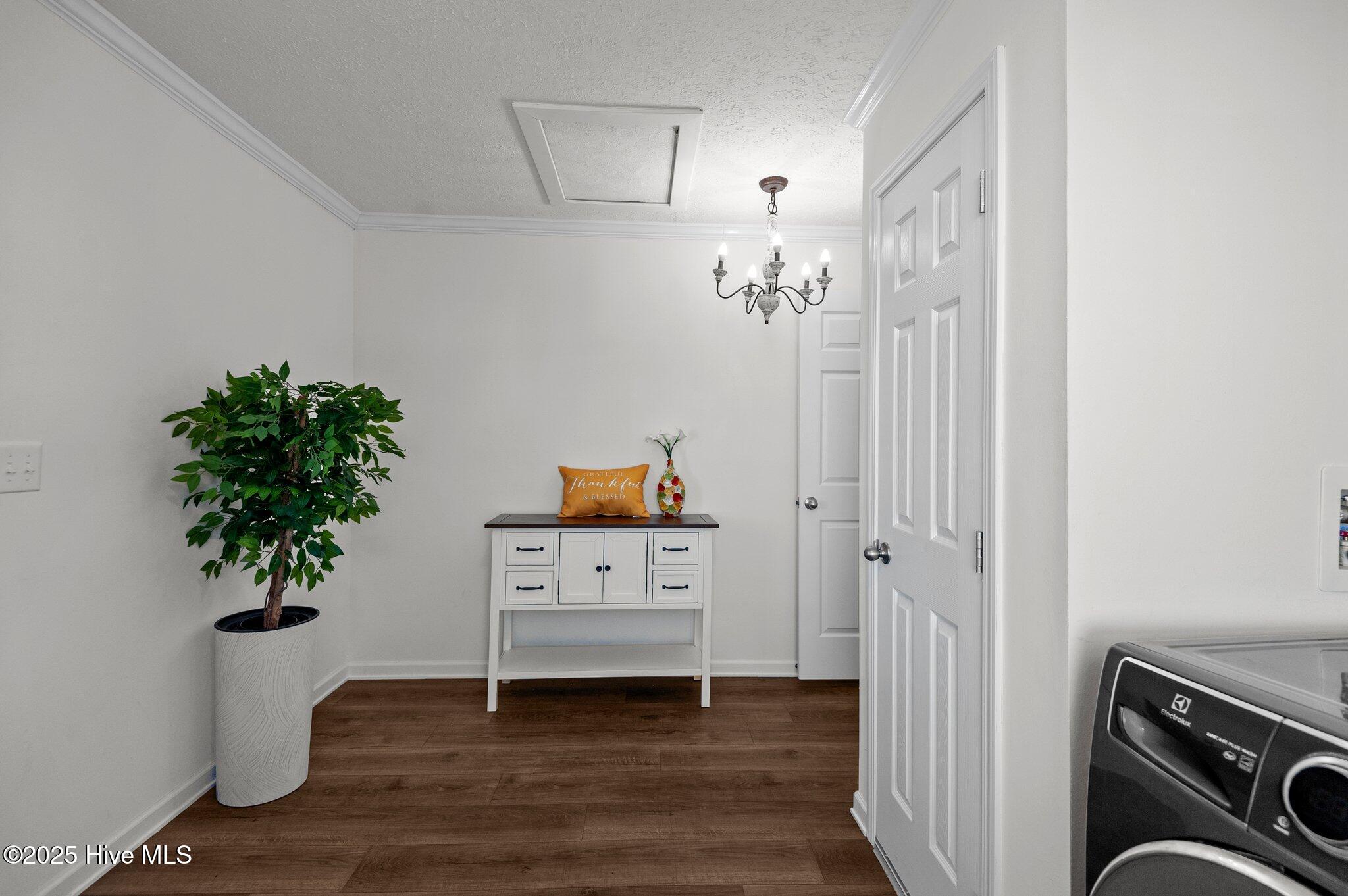 415 Pineridge Road Roanoke Rapids, NC 27870 - Photo 13 of 58 12-web-or-mls-_DSC8289