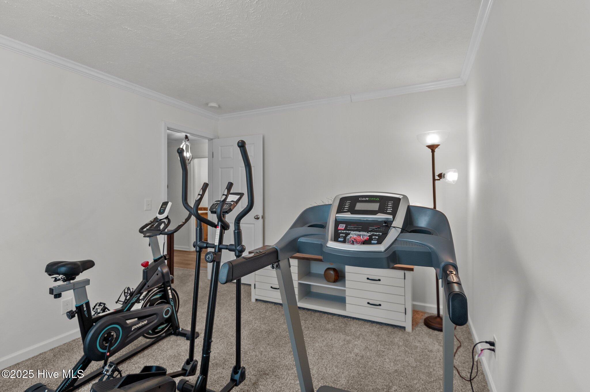 415 Pineridge Road Roanoke Rapids, NC 27870 - Photo 15 of 58 14-web-or-mls-_DSC8299