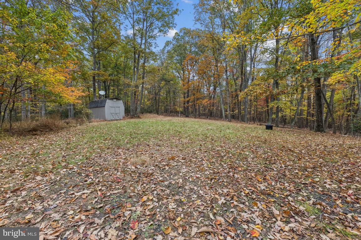 135 Lizzie Mills Road Castleton, VA 22716 - Photo 26 of 33 a backyard of a house with lots of green space