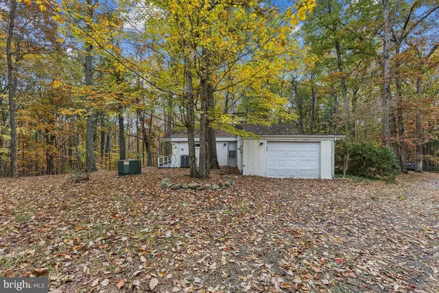 a view of a yard with trees
