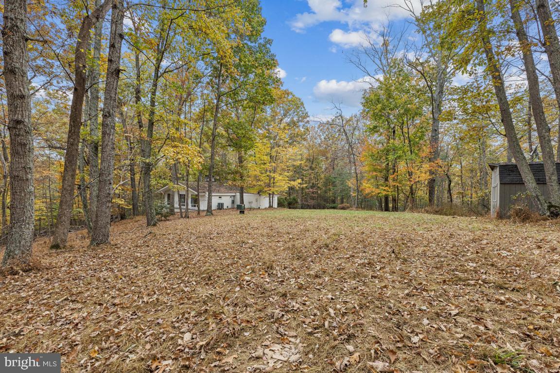 135 Lizzie Mills Road Castleton, VA 22716 - Photo 28 of 33 a view of a yard with trees