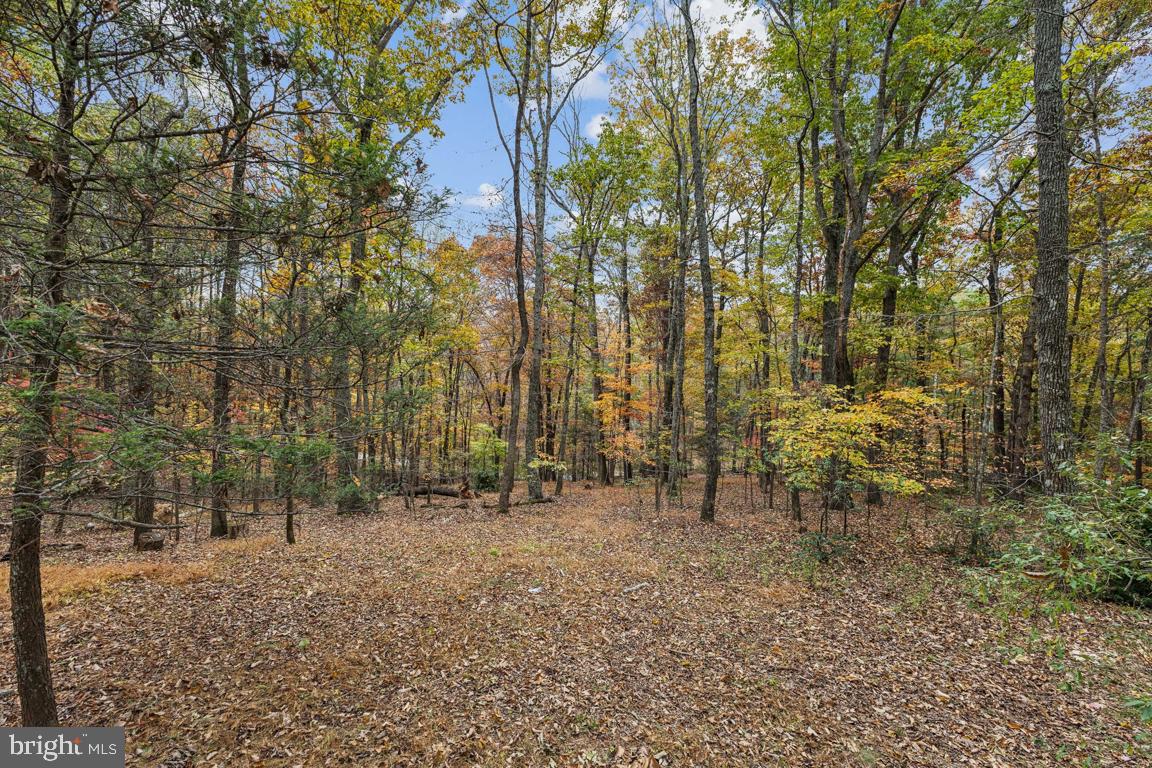 135 Lizzie Mills Road Castleton, VA 22716 - Photo 31 of 33 a view of outdoor space and trees