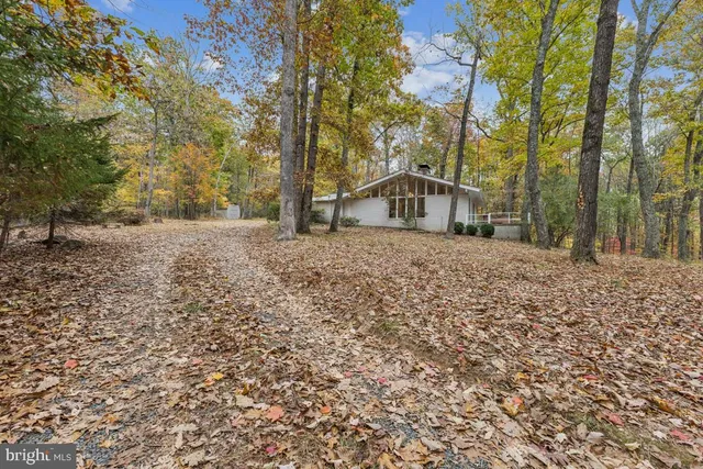 a white house that has a tree in front of it
