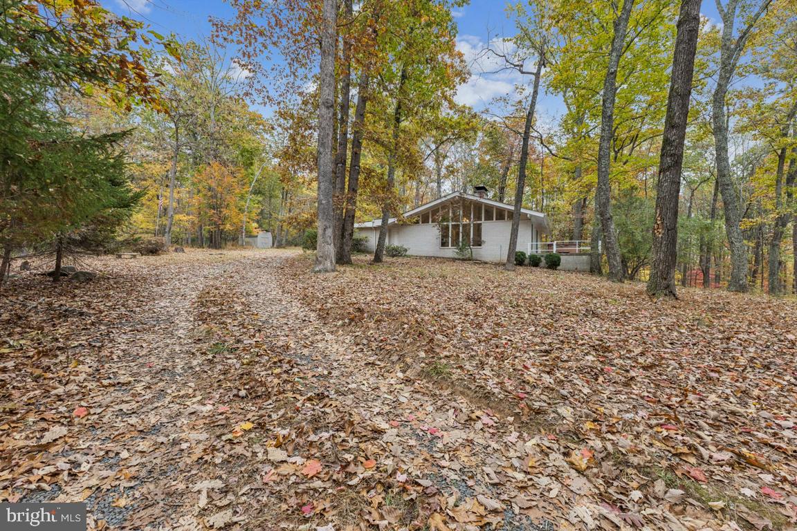 135 Lizzie Mills Road Castleton, VA 22716 - Photo 5 of 33 a white house that has a tree in front of it