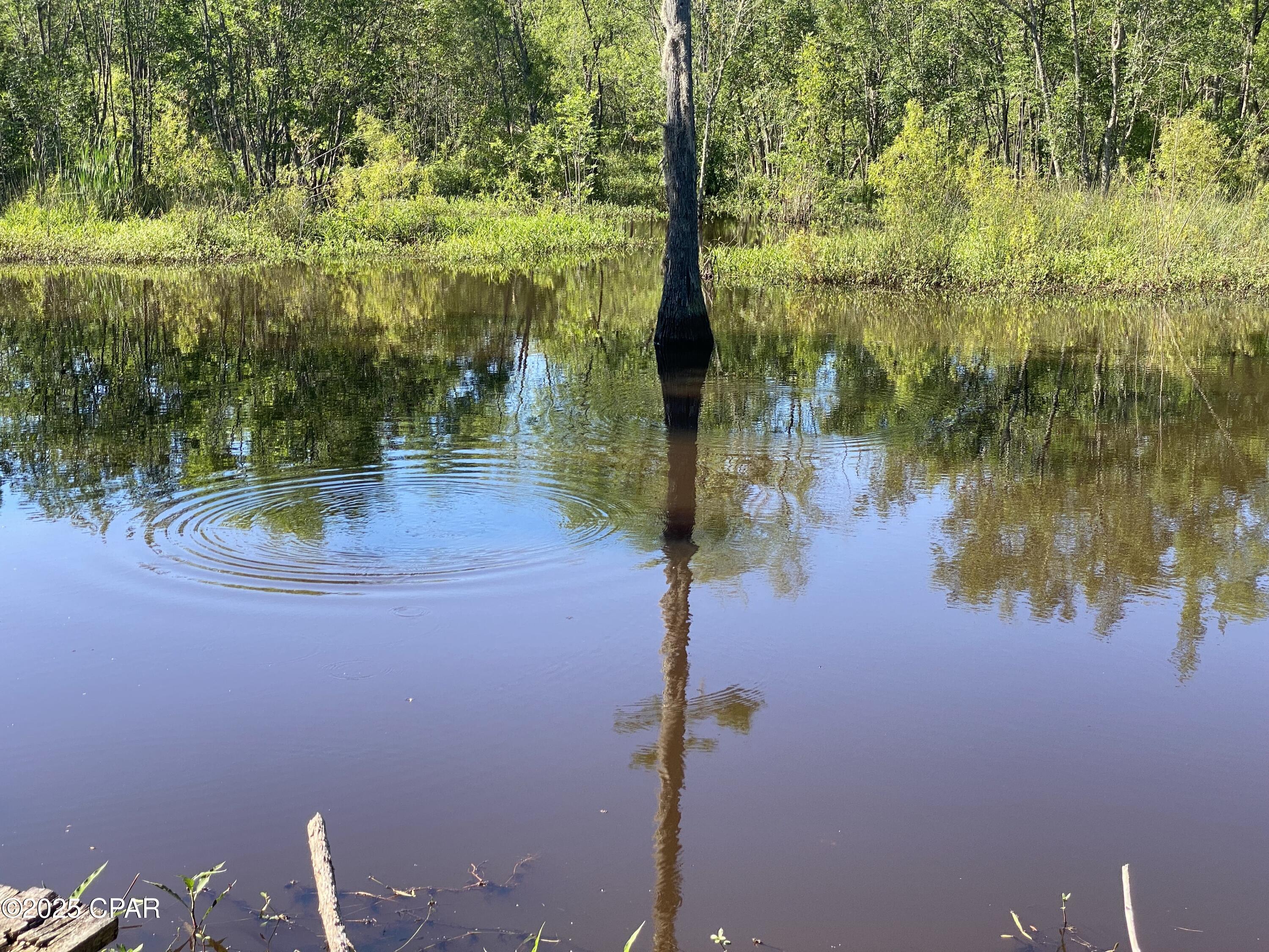 3586 Bush Road Graceville, FL 32440 - Photo 104 of 104 Gallery Image 104