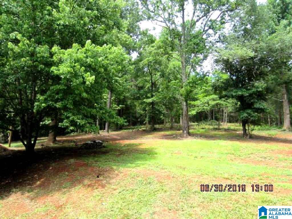 4530 Oak Grove Road Lineville, AL 36266 - Photo 23 of 25
