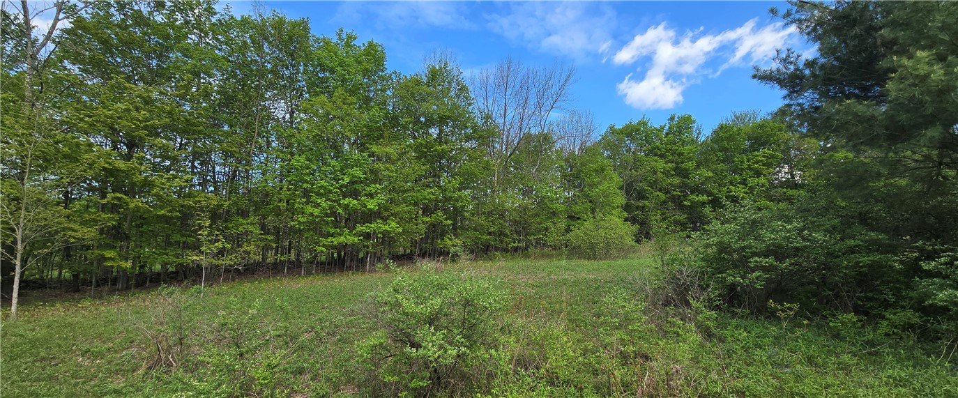 Adams Hill Road Hobart, NY 13788 - Photo 6 of 14 MIDDLE