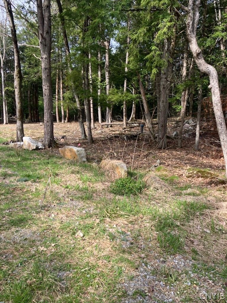 29809 Sears Road Theresa, NY 13679 - Photo 3 of 13 Gallery Image 3