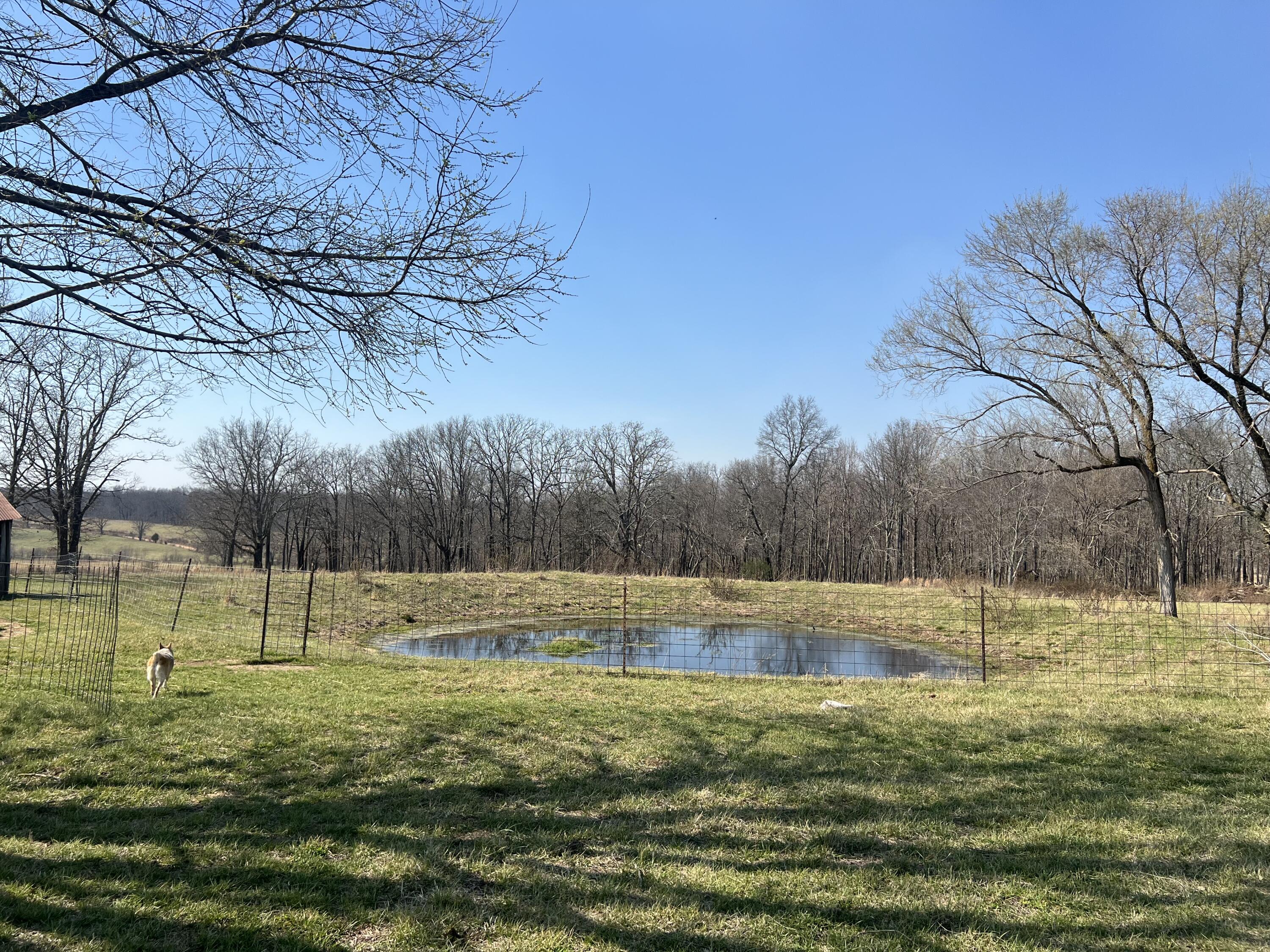 22177 Midvale Road Summersville, MO 65571 - Photo 55 of 82 IMG_5215 - Copy - Copy - Copy