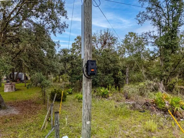 a view of a yard with plants