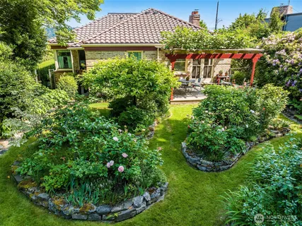a view of a garden with plants
