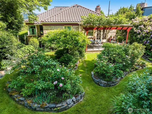 a view of a garden with plants