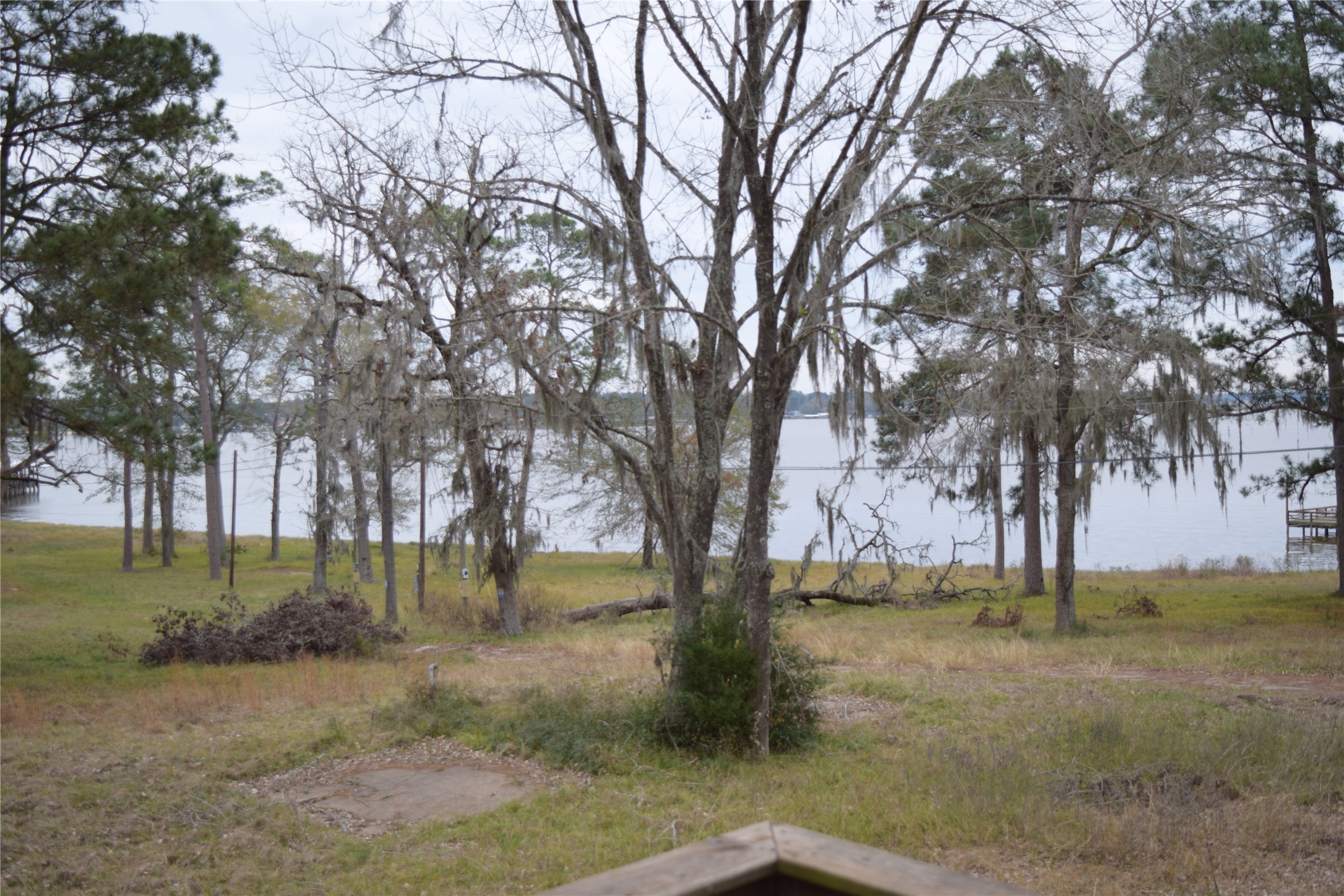 237 Shawnee Drive Onalaska, TX 77360 - Photo 27 of 32 a view of outdoor space with trees