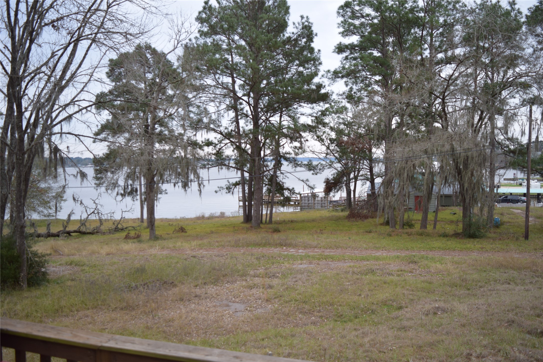 237 Shawnee Drive Onalaska, TX 77360 - Photo 32 of 32 a view of a yard with large trees