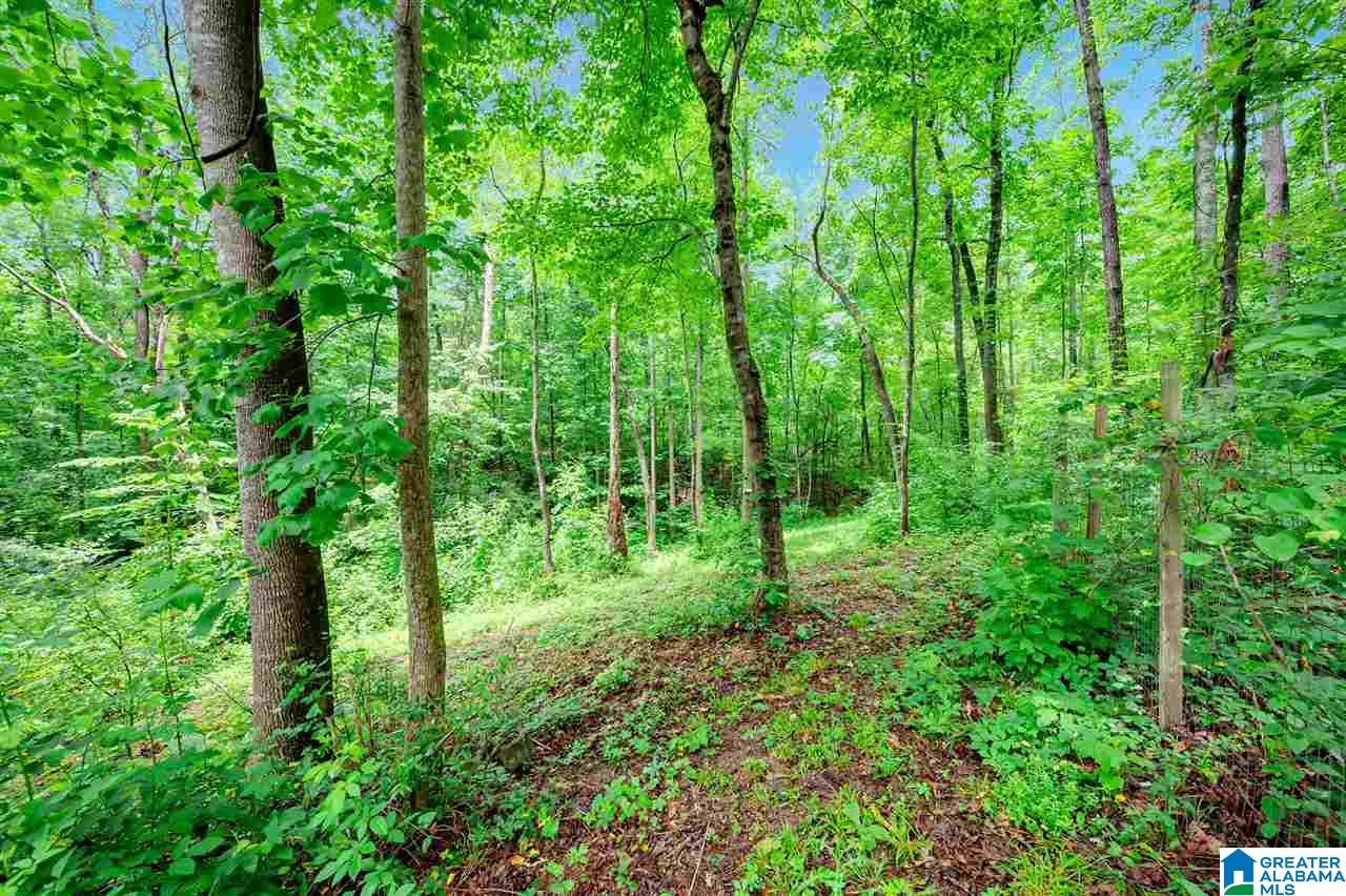 9600 McPherson Road Warrior, AL 35180 - Photo 23 of 24