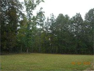 a view of a green field