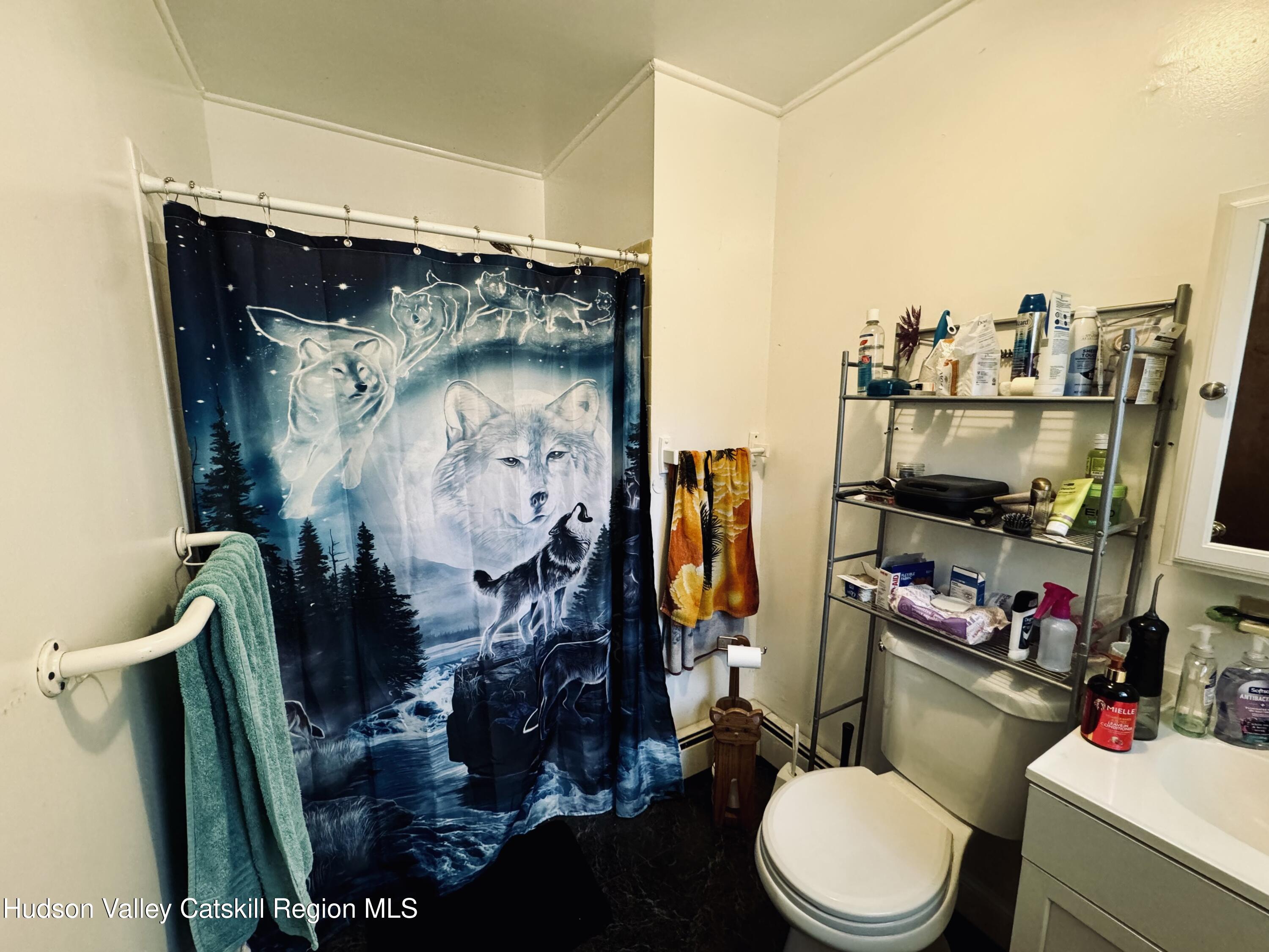 322 Plattekill Ardonia Road Wallkill, NY 12589 - Photo 21 of 22 a bathroom with a toilet and a shower curtain