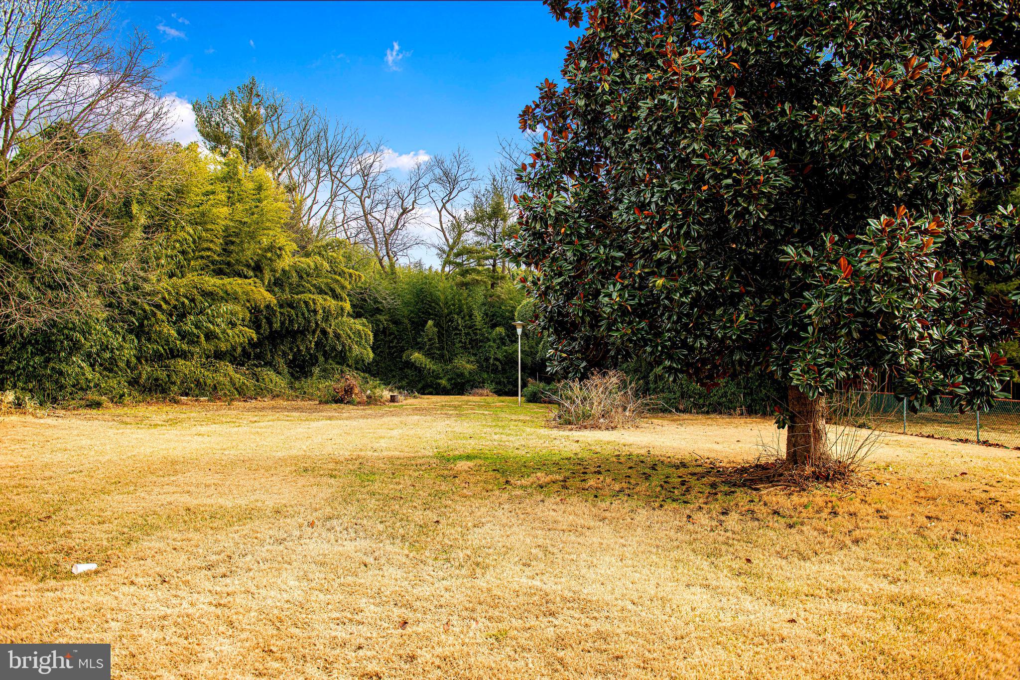 1531 Perryman Road Aberdeen, MD 21001 - Photo 21 of 23 a view of ocean with large trees