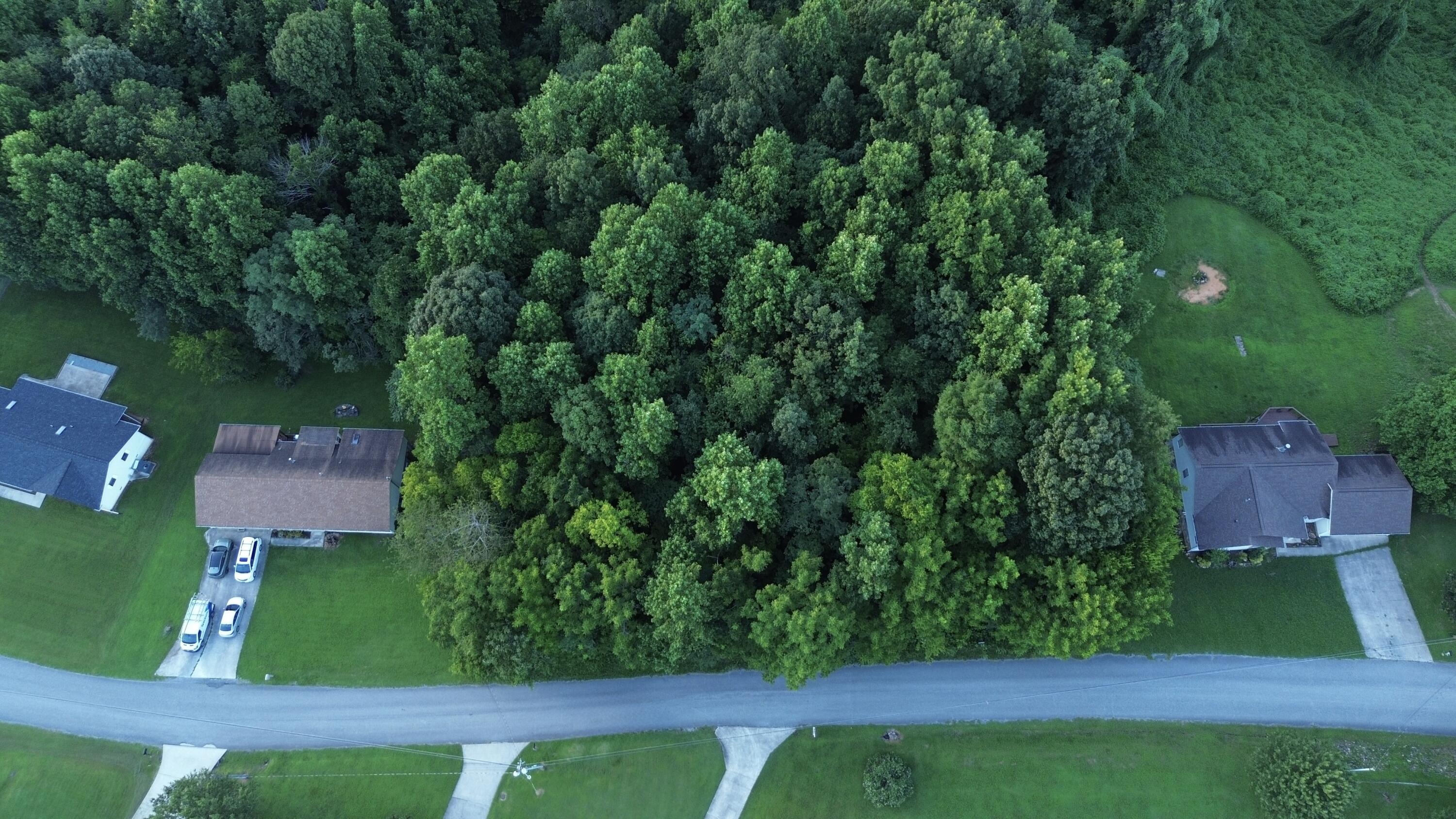978 Ashley Lane Dayton, TN 37321 - Photo 2 of 5 DJI_0794