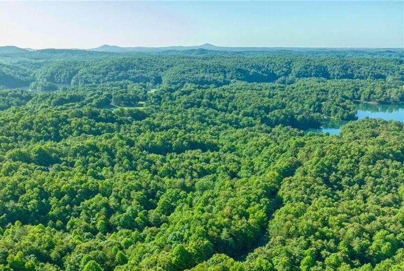 101 Wake Robin Drive Sunset, SC 29685 - Photo 7 of 8 An aerial perspective reveals verdant forests meeting tranquil waters and distant mountain peaks.