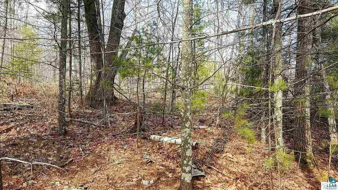 Lot 2-3 & Ol3 Chequamegon Road Bayfield, WI 54814 - Photo 12 of 16 Gallery Image 12