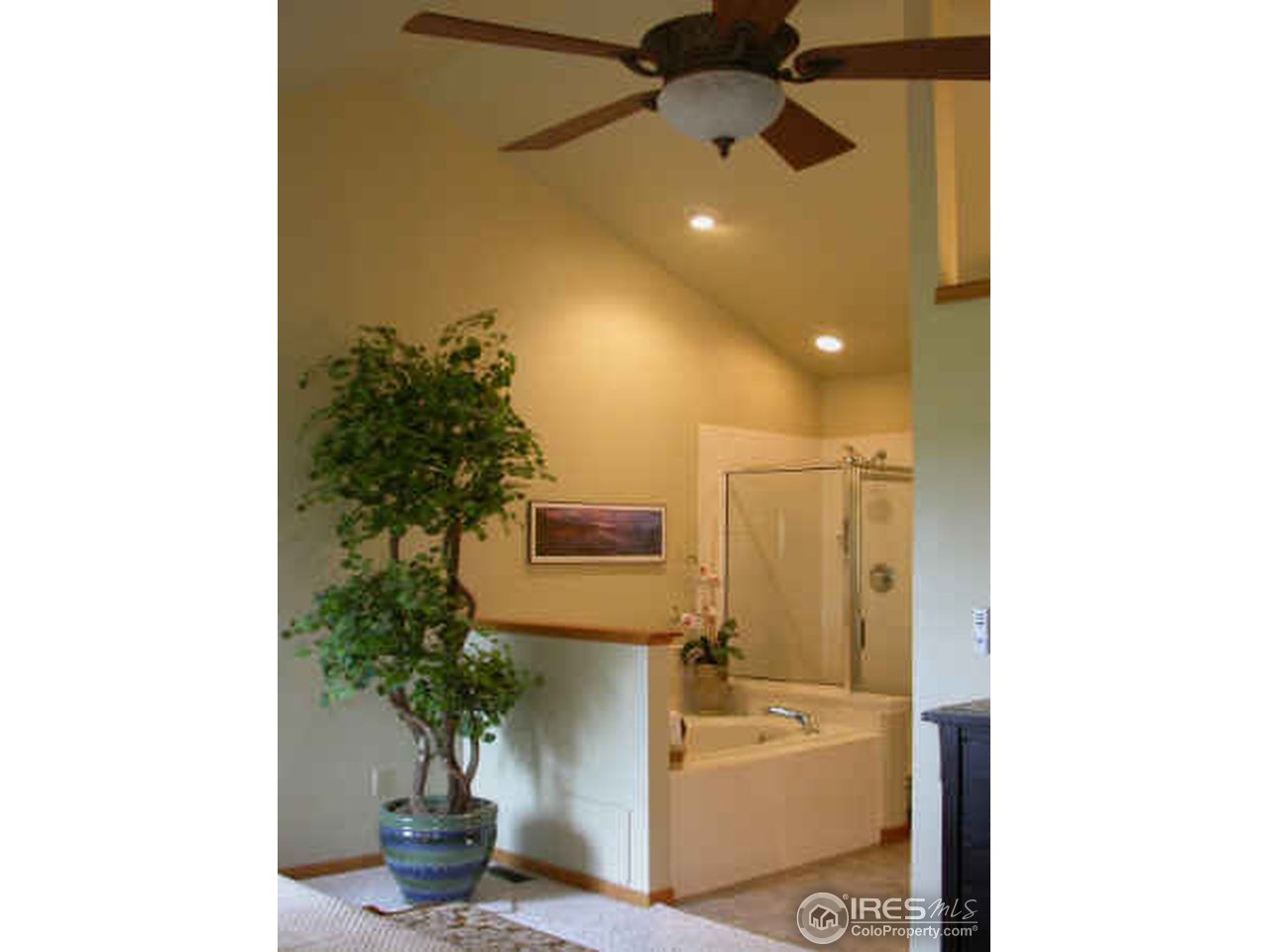 6411 Victoria Road Fort Collins, CO 80525 - Photo 13 of 16 Master jettted tub