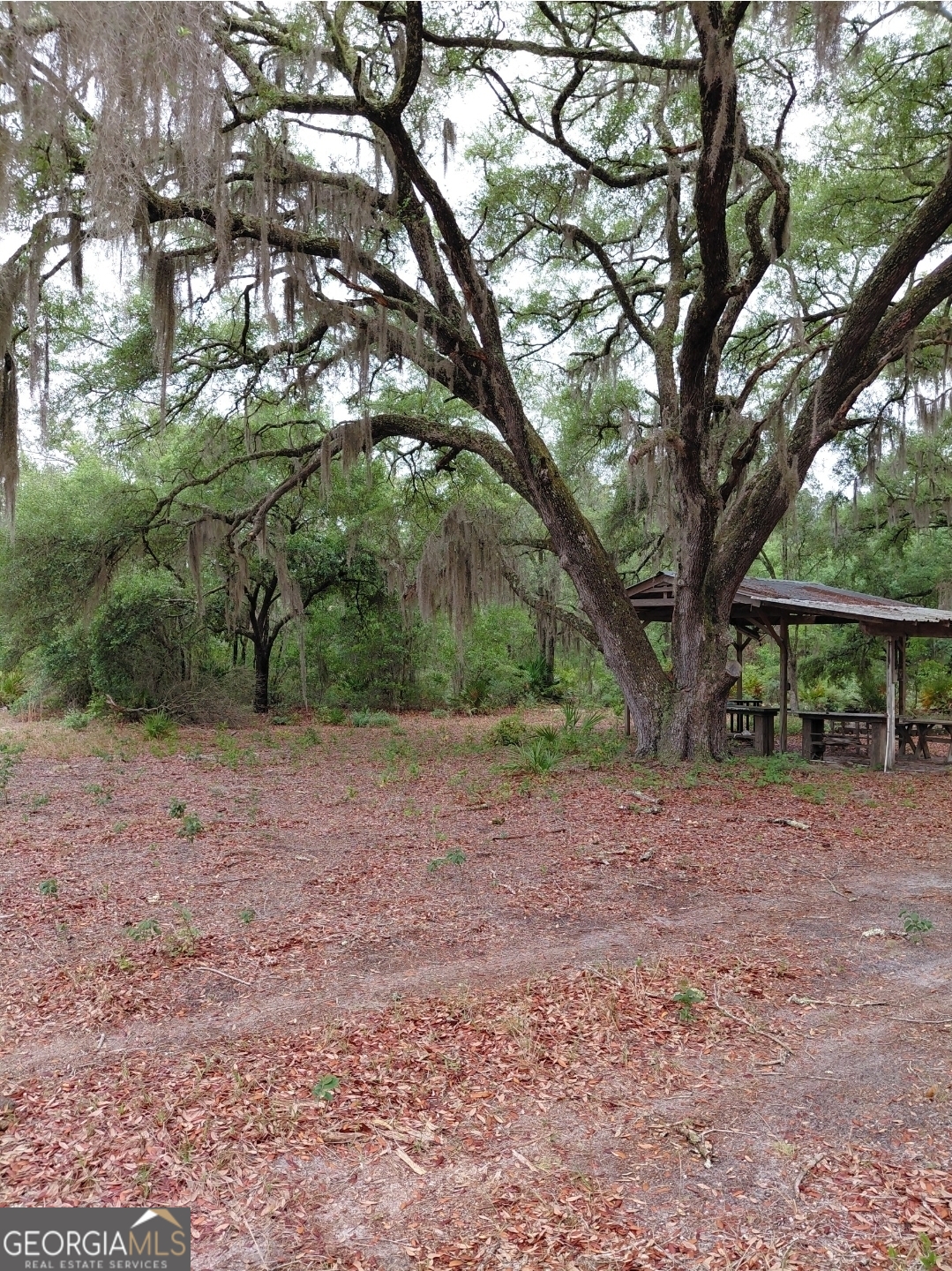 779 Ralph Davis Road, Unit 1 LAND LOT Folkston, GA 31537 - Photo 9 of 28 a view of a out door space
