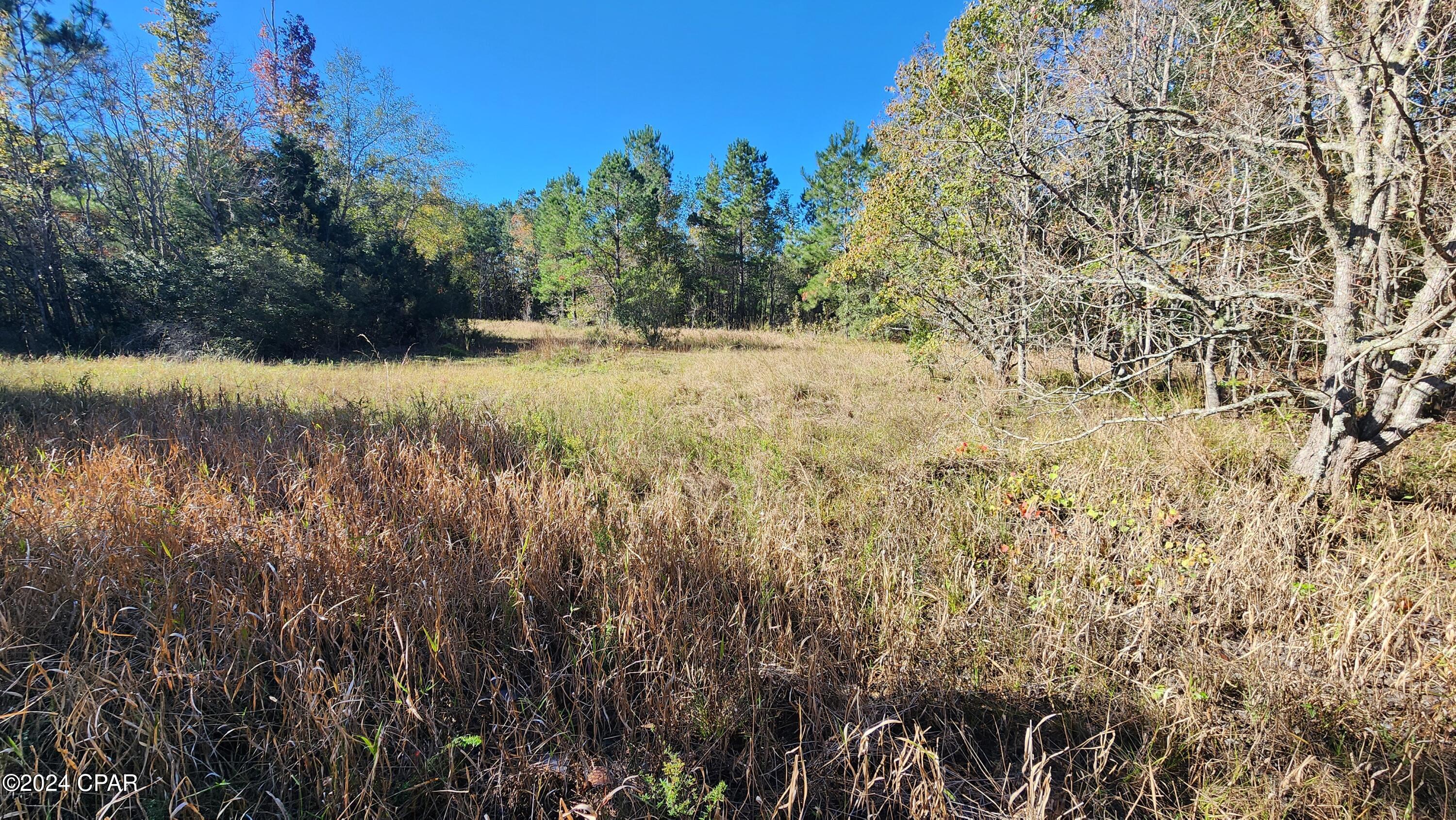 2597 Kynesville Road Cottondale, FL 32431 - Photo 21 of 27 Gallery Image 21