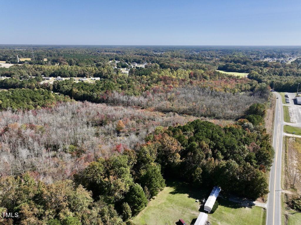 0 Buck Swamp Road Pikeville, NC 27863 - Photo 8 of 38 8