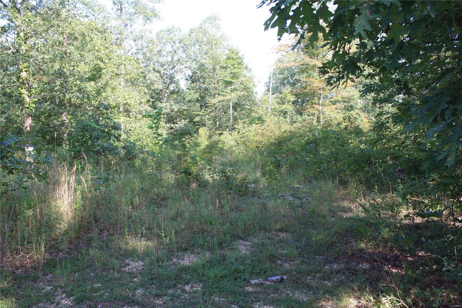 0 County Road 750 Ellington, MO 63638 - Photo 2 of 7
