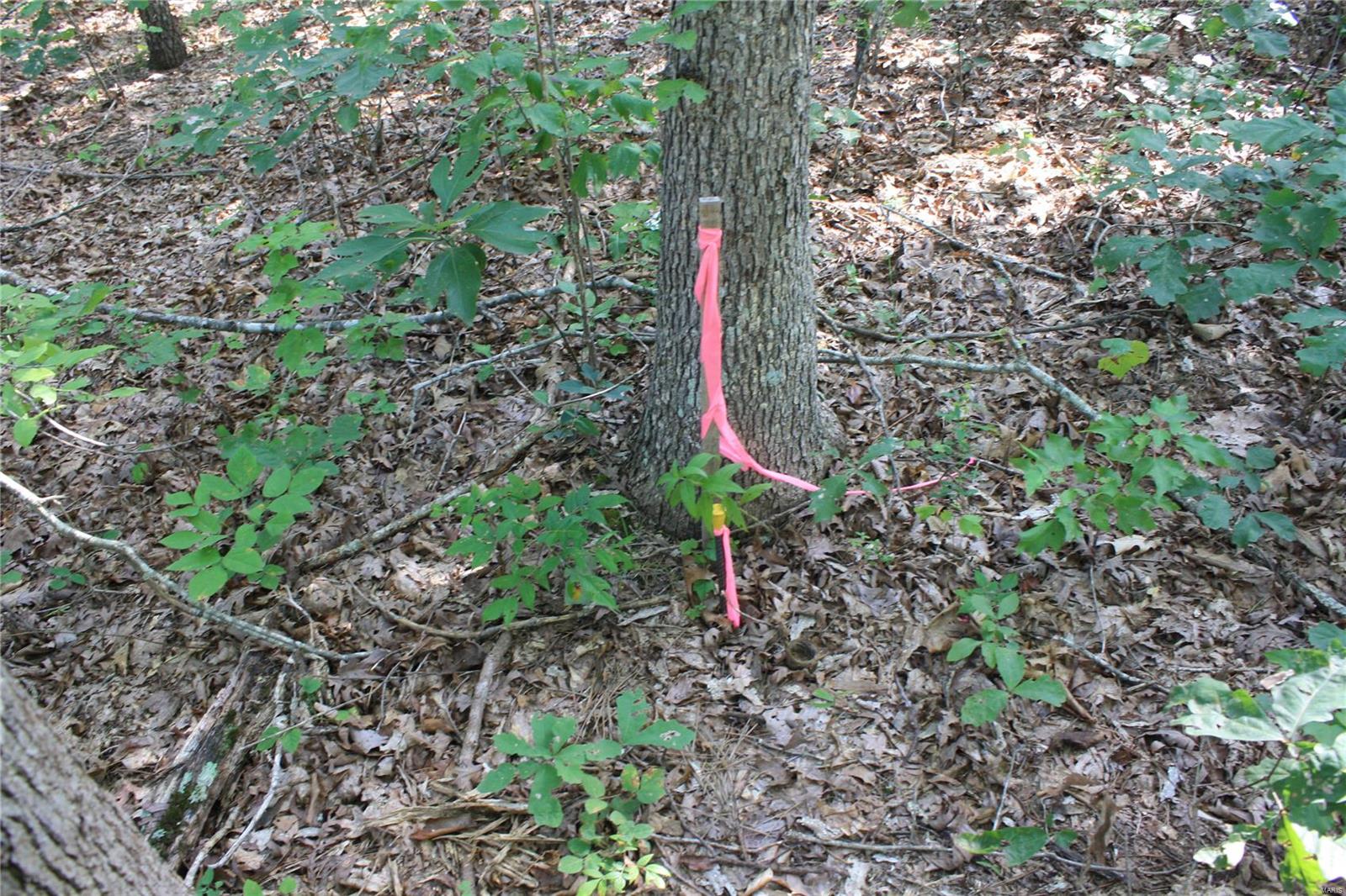 0 County Road 750 Ellington, MO 63638 - Photo 3 of 7