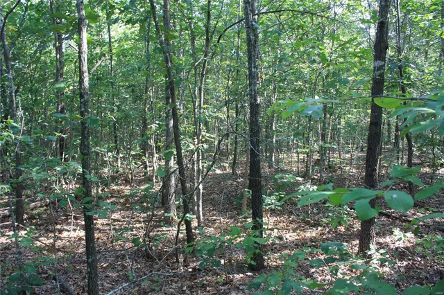 $67 | 0 County Road 750, Ellington, MO 63638