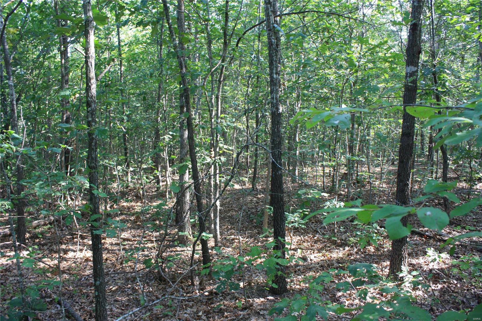 0 County Road 750 Ellington, MO 63638 - Photo 4 of 7