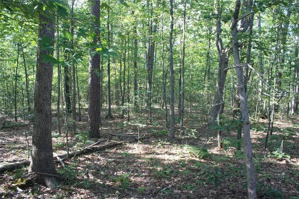 $67 | 0 County Road 750, Centerville, MO 63633