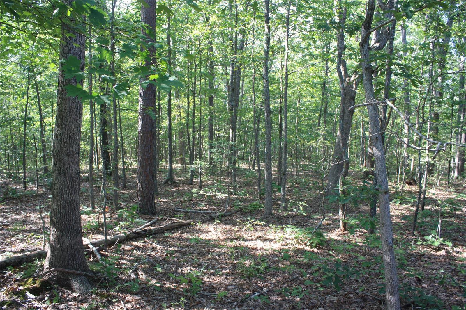 0 County Road 750 Ellington, MO 63638 - Photo 5 of 7