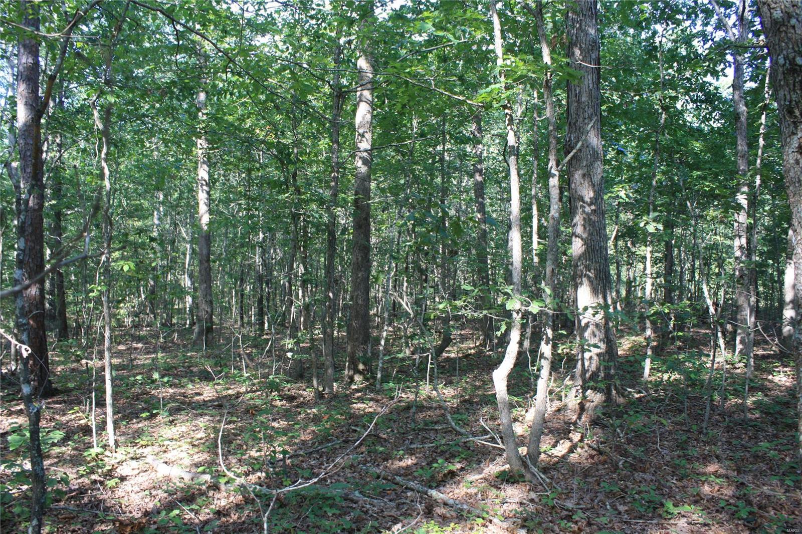 0 County Road 750 Ellington, MO 63638 - Photo 6 of 7