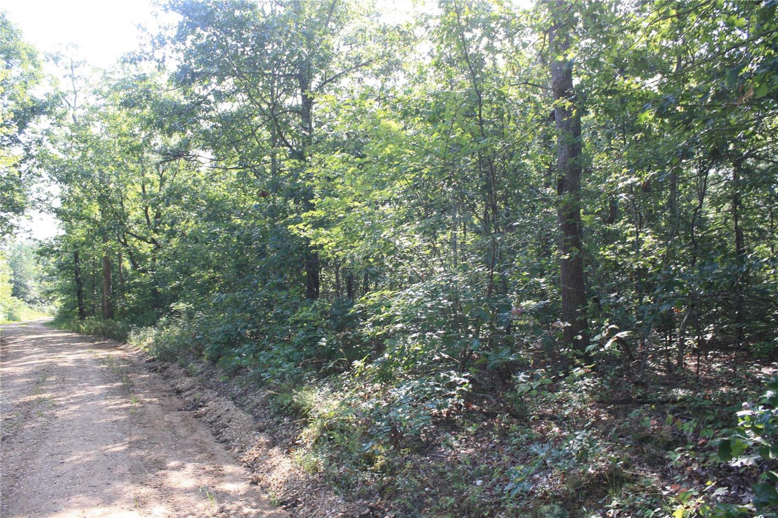 0 County Road 750 Ellington, MO 63638 - Photo 7 of 7