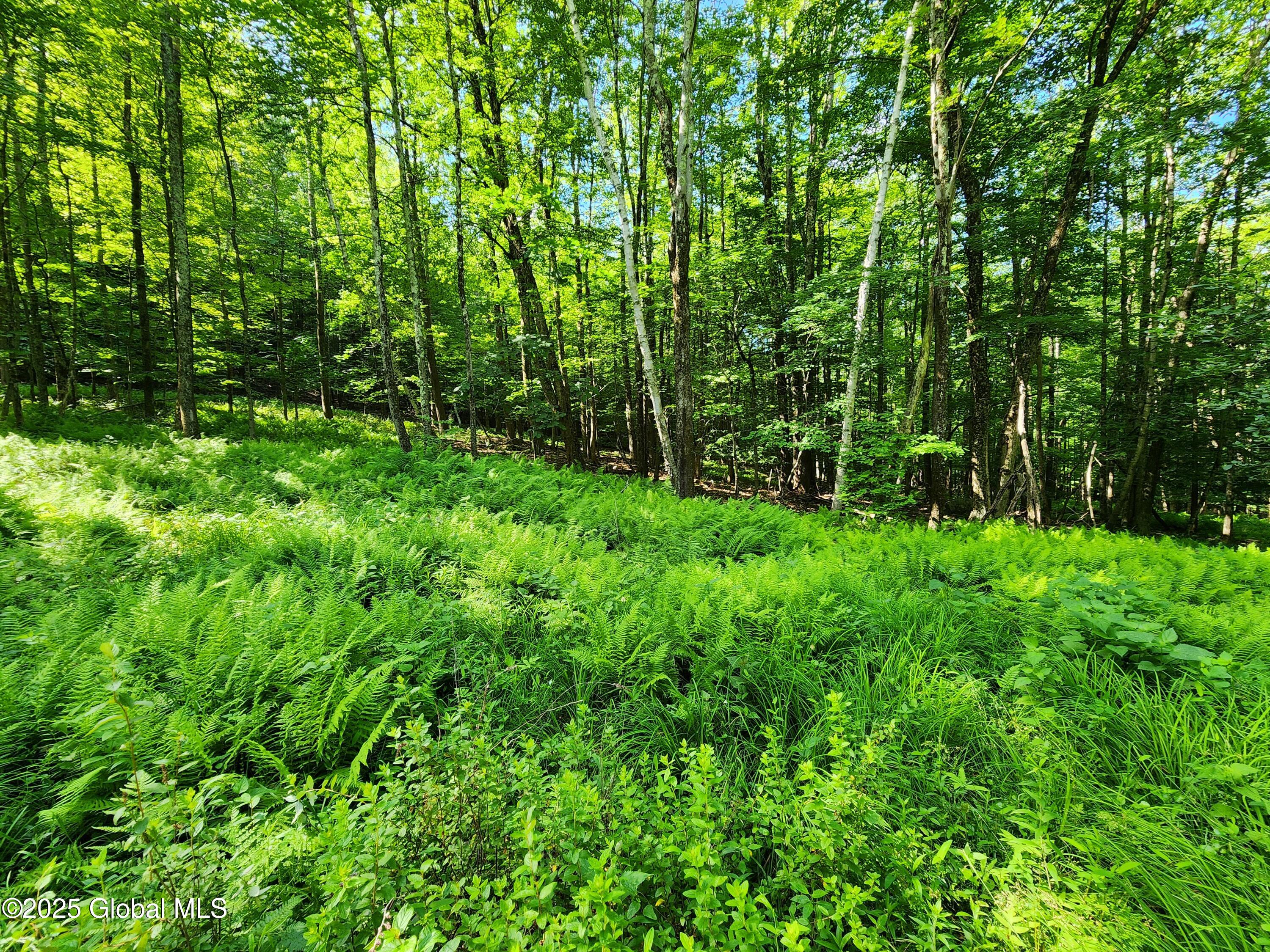 140 Roaser Road Sand Lake, NY 12153 - Photo 13 of 35 20250629_095823