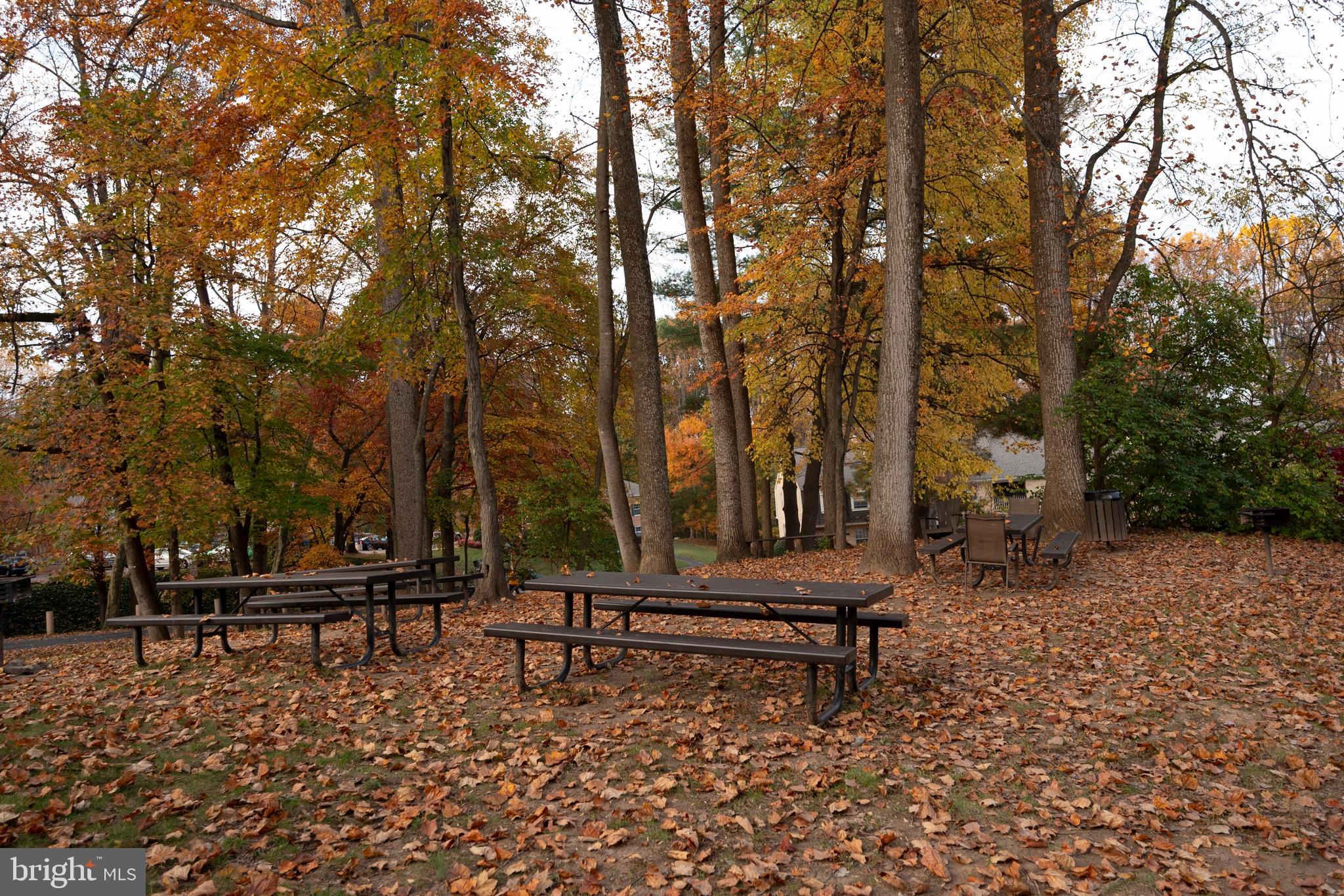 5819 Cove Landing Road, Unit 301 Burke, VA 22015 - Photo 26 of 30