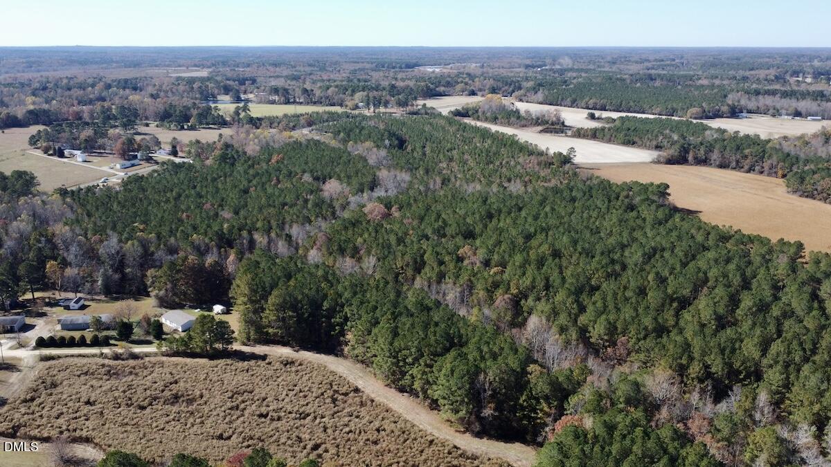 0 McDougald Road Broadway, NC 27505 - Photo 8 of 31 8