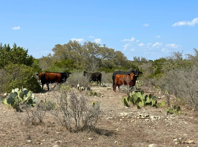 $550,000 | 191 Leona Ranch Road, Brackettville, TX 78832