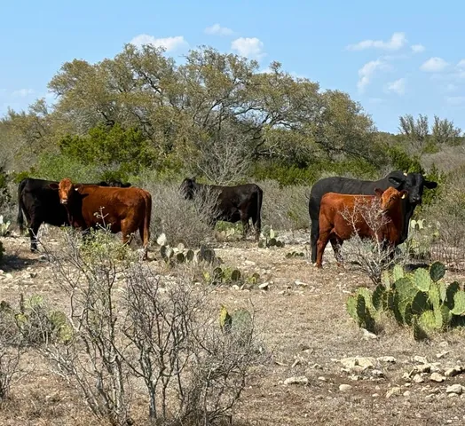 $550,000 | 191 Leona Ranch Road, Brackettville, TX 78832